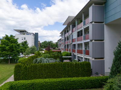 WBG-Fortschritt Drohnenaufnahmen 2025-05-16